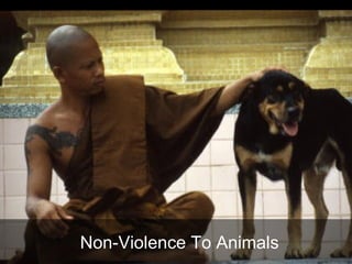 Non-Violence To Animals 