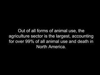 Out of all forms of animal use, the agriculture sector is the largest, accounting for over 99% of all animal use and death in North America. 