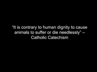 “ It is contrary to human dignity to cause animals to suffer or die needlessly” – Catholic Catechism 