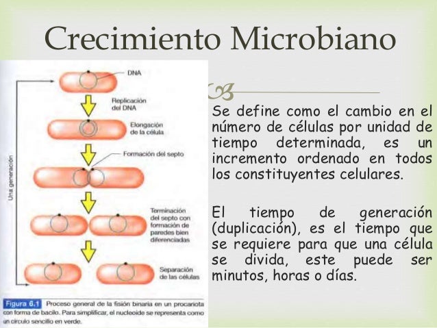 Metodos De Medicion Del Crecimiento Microbiano