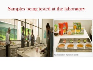 Samples being tested at the laboratory
 