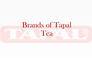 Brands of Tapal
     Tea
 