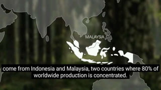 Palm as a Raw ingredient
11
 