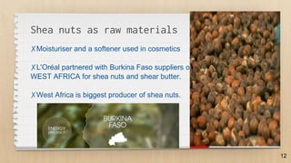 Shea nuts as raw materials
✗Moisturiser and a softener used in cosmetics
✗L'Oréal partnered with Burkina Faso suppliers of
WEST AFRICA for shea nuts and shear butter.
✗West Africa is biggest producer of shea nuts.
12
 
