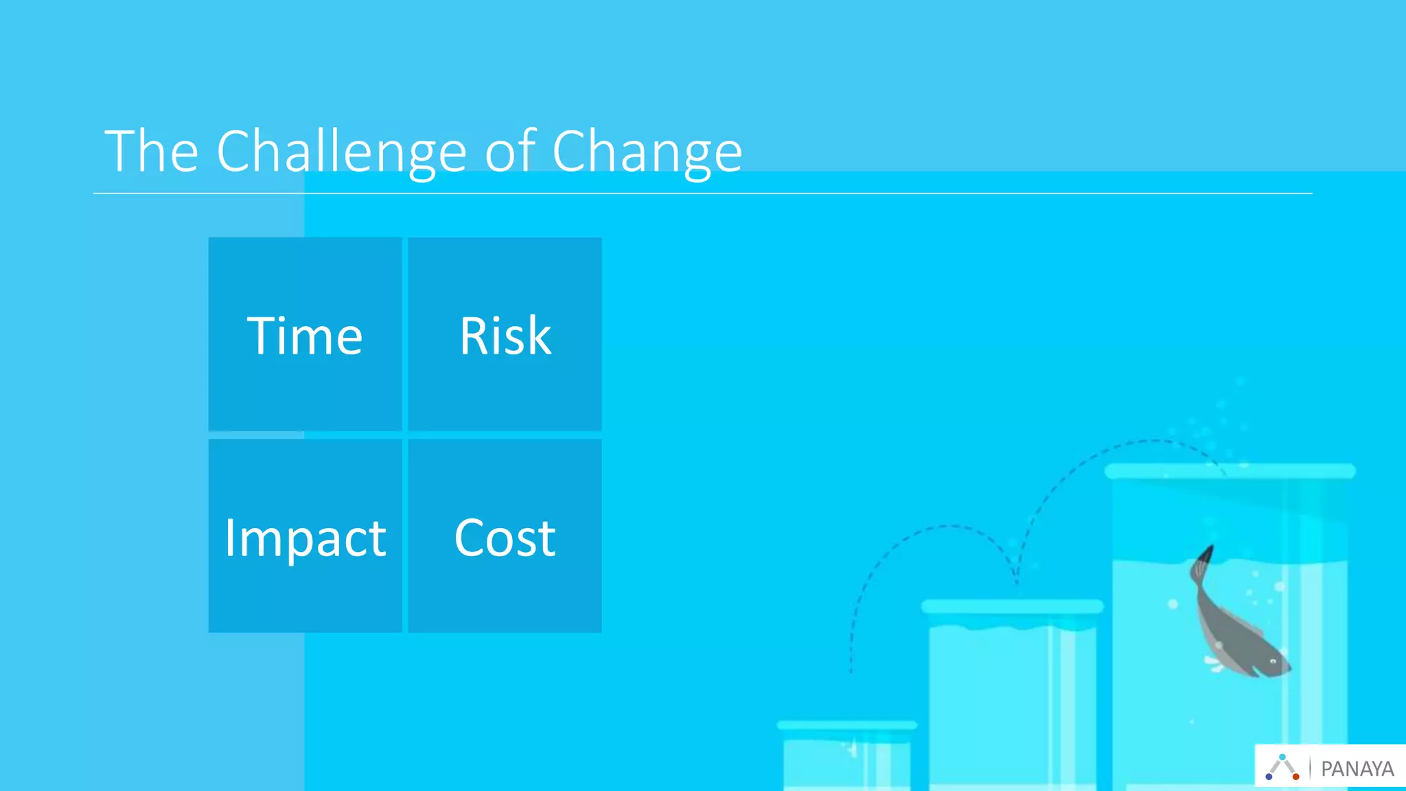PANAYA© Panaya | An Infosys Company
The Challenge of Change
PANAYA
Time Risk
Impact Cost
 