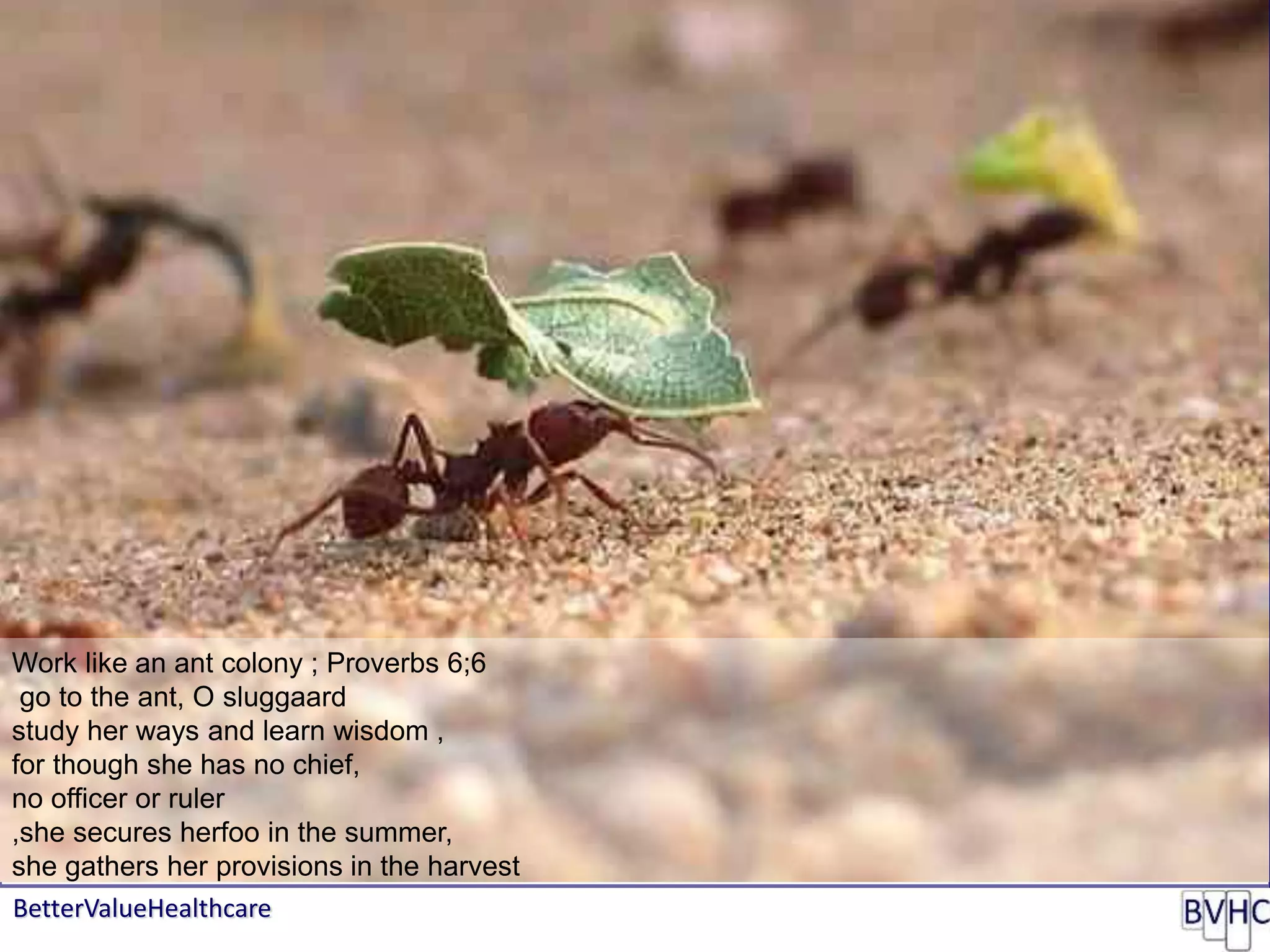 BetterValueHealthcare
Map of Medicine - COPD
Work like an ant colony ; Proverbs 6;6
go to the ant, O sluggaard
study her ways and learn wisdom ,
for though she has no chief,
no officer or ruler
,she secures herfoo in the summer,
she gathers her provisions in the harvest
 