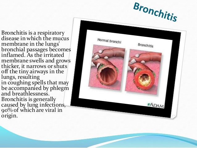 importance of healthy respiratory system