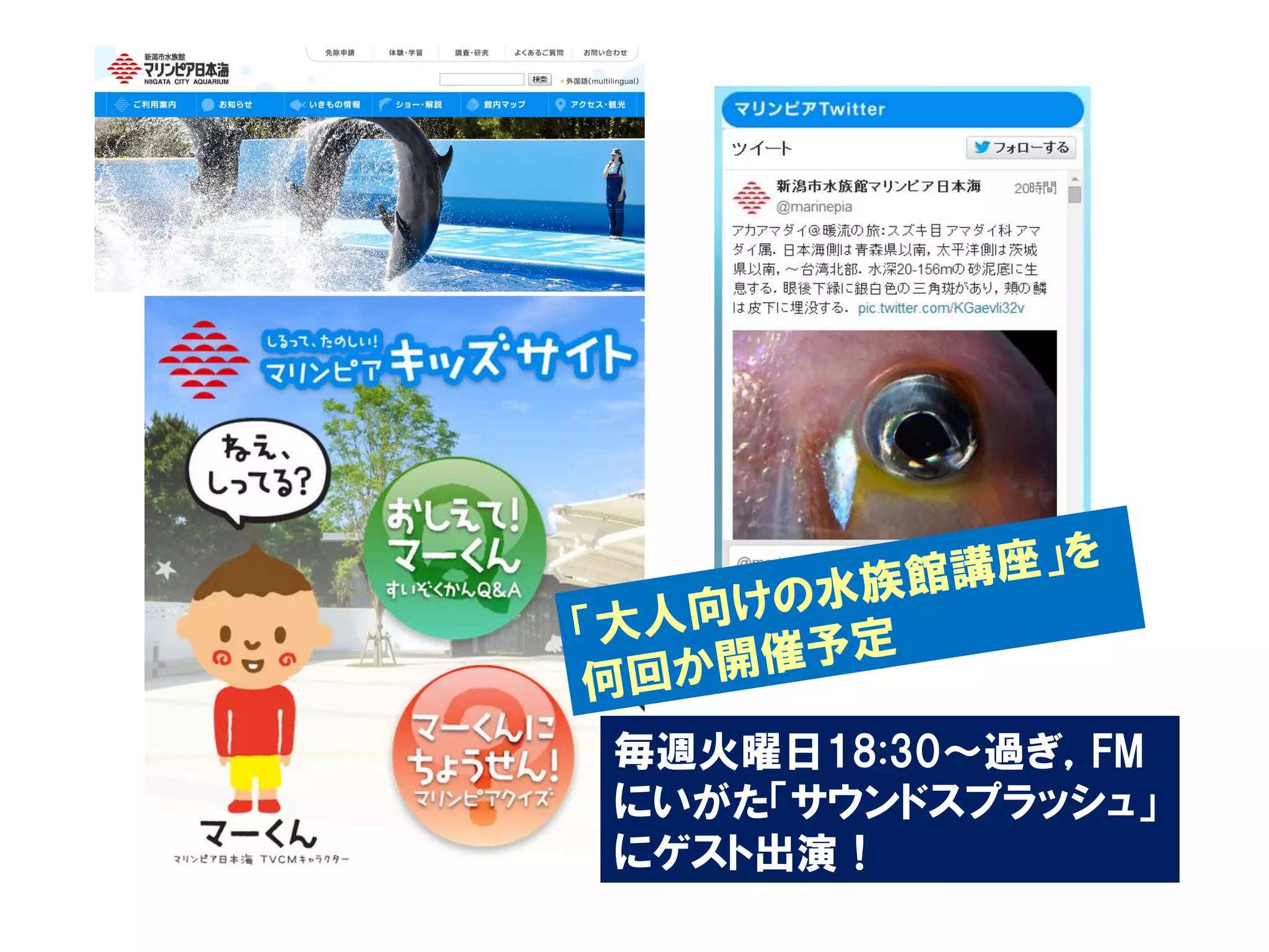 毎週火曜日18:30～過ぎ，FM
にいがた「サウンドスプラッシュ」
にゲスト出演！
 