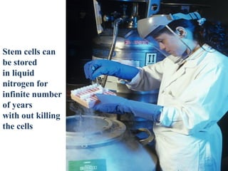 Advancements in Nuclear Transfer and Pluripotent Stem Cell Technologies ...