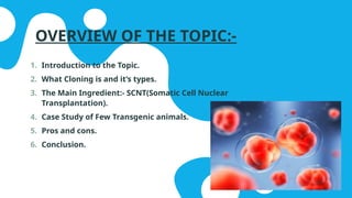 OVERVIEW OF THE TOPIC:-
1. Introduction to the Topic.
2. What Cloning is and it’s types.
3. The Main Ingredient:- SCNT(Somatic Cell Nuclear
Transplantation).
4. Case Study of Few Transgenic animals.
5. Pros and cons.
6. Conclusion.
 