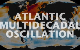 ATLANTIC 
MULTIDECADAL 
OSCILLATION 
 