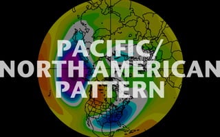 PACIFIC/ 
NORTH AMERICAN 
PATTERN 
 