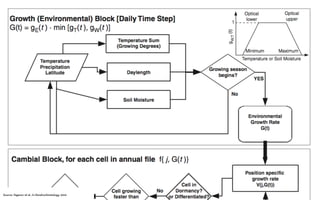 Source: Vaganov et al., In Dendroclimatology, 2010 
 