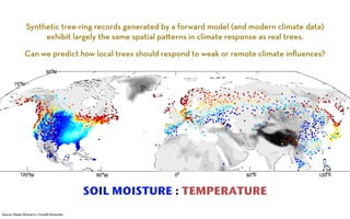 Synthetic tree-ring records generated by a forward model (and modern climate data) 
Can we predict how local trees should respond to weak or remote climate influences? 
oW 
120exhibit largely the same spatial pa!erns in climate response as real trees. 
60oW 
0o 60oE 
120oE 
75oN 
90oN 
SOIL MOISTURE : TEMPERATURE 
Source: Xiaolu (Grace) Li, Cornell University 
 