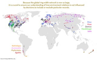 Pinus 
Picea 
Quercus 
Pseudotsuga 
Larix 
Nothofagus 
Austrocedris 
Phyllocladus 
Agathis 
Source: St. George, PAGES News, 2014 
Because the global ring-width network is now so large, 
it is crucial to ensure our understanding of tree-environment relations is not influenced 
by decisions to include or exclude particular records. 
 