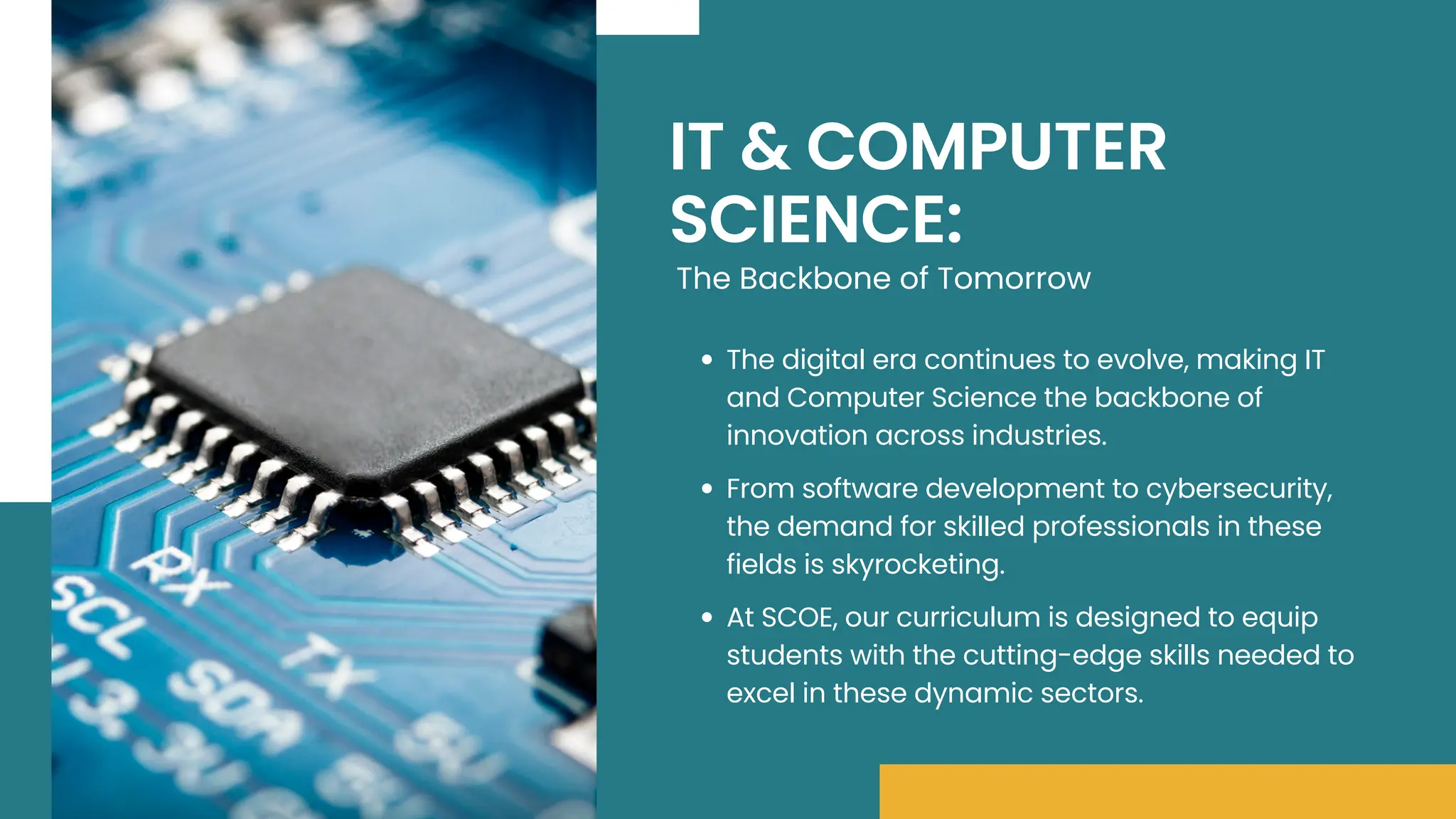 WHICH ENGINEERING IS BEST IN FUTURE 2025 visual data 5