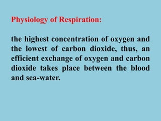 Physiology of Respiration:
the highest concentration of oxygen and
the lowest of carbon dioxide, thus, an
efficient exchange of oxygen and carbon
dioxide takes place between the blood
and sea-water.
 