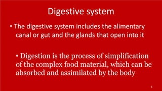 Digestive system
• The digestive system includes the alimentary
canal or gut and the glands that open into it
• Digestion is the process of simplification
of the complex food material, which can be
absorbed and assimilated by the body
6
 