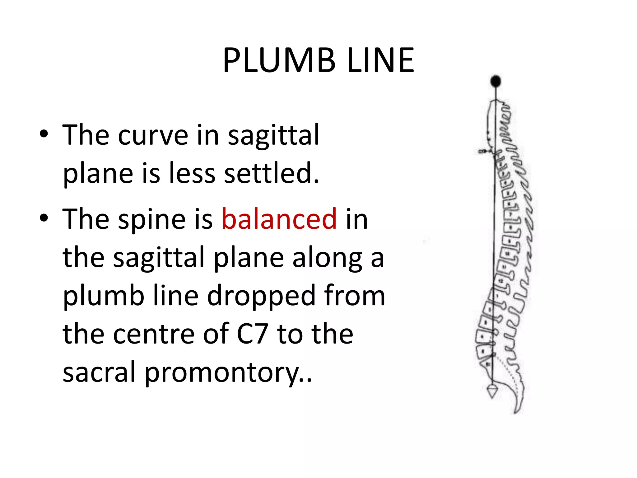 Scoliosis basics, classification | PPTX