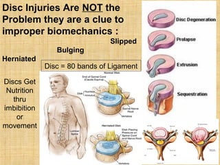 Disc Injuries Are NOT the
Problem they are a clue to
improper biomechanics :
Slipped
Bulging
Herniated
Discs Get
Nutrition
thru
imbibition
or
movement
Disc = 80 bands of Ligament
 