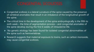 CONGENITAL SCOLIOSIS
 Congenital scoliosis is a lateral curvature of the spine caused by the presence
of vertebral anomalies that result in an imbalance of the longitudinal growth of
the spine.
 The critical time in the development of the spine embryologically is the fifth to
sixth week – the time of segmentation process – and congenital anomalies of
the spine develop during the first 6 weeks of intrauterine life.
 No genetic etiology has been found for isolated congenital abnormalities of
the spine such as hemivertebrae.
 Research suggests that maternal exposure to toxins, such as carbon monoxide,
may cause congenital scoliosis.
 