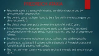 FRIEDREICH ATAXIA
 Friedreich ataxia is a recessively inherited condition characterized by
spinocerebellar degeneration.
 The genetic cause has been found to be a flaw within the frataxin gene on
chromosome 9q13.
 The clinical onset takes place between the ages of 6 and 20 years.
 Primary symptoms include progressive ataxic gait, dysarthria, decreased
proprioception or vibratory sense, muscle weakness, and lack of deep tendon
reflexes.
 Secondary symptoms include pes cavus, scoliosis, and cardiomyopathy.
 Labelle et al. evaluated 56 patients with a diagnosis of Friedreich ataxia and
found that all 56 patients had scoliosis.
 The most common pattern was double structural thoracic and lumbar curves
(57%).
 