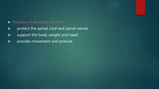  Purpose of vertebral column:
 protect the spinal cord and spinal nerves
 support the body weight and head
 provide movement and posture
 