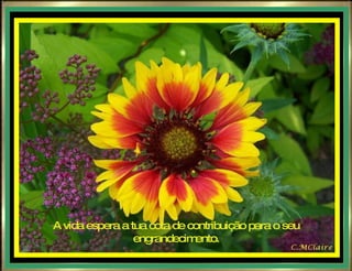 A vida espera a tua cota de contribuição para o seu engrandecimento. 