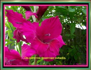 Os extremos devem ser evitados. 