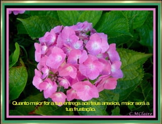 Quanto maior for a tua entrega aos teus anseios, maior será a tua frustação. 