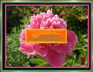 Pelo espírito: Irmão José. Psicografia: Carlos A. Baccelli.  Livro: Vigiai e Orai. Editora: Didier. Imagens: C.M.Claire. Música: Le Lac de Comme. Formatação:  [email_address] Arquivos:  http://robertogenio38.4shared.com http://www.e-bookspetropolis.com.br/PPS_J_Cordeiro.htm http://www.slideshare.net/JRCordeiroPPS FORA DA CARIDADE NÃO HÁ SALVAÇÃO. Leia Kardec 