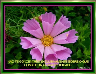 NÃO TE CONCENTRES EXCLUSIVAMENTE SOBRE O QUE CONSIDERAS A TUA FELICIDADE. 