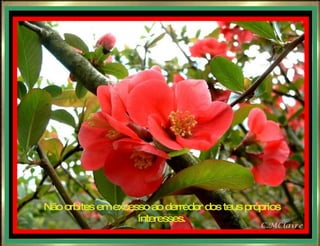 Não orbites em excesso ao derredor dos teus próprios interesses. 