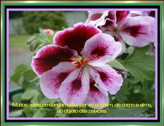 Muitos adoecem longamente, por se doarem, de corpo e alma, ao objeto das paixões. 