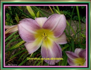 Diversifica as tuas atividades. 