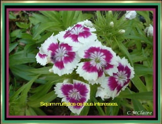 Sejam múltiplos os teus interesses. 