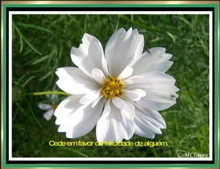 Cede em favor da felicidade de alguém. 