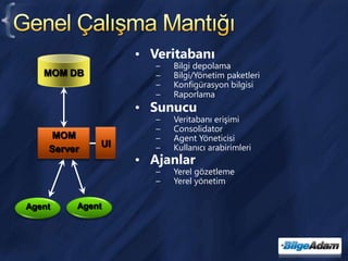 Genel Çalışma MantığıVeritabanı