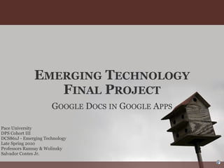 E MERGING  T ECHNOLOGY  F INAL  P ROJECT G OOGLE  D OCS   IN  G OOGLE  A PPS Pace University DPS Cohort III DCS861J - Emerging Technology Late Spring 2010 Professors Ramsay & Wolinsky Salvador Contes Jr. 