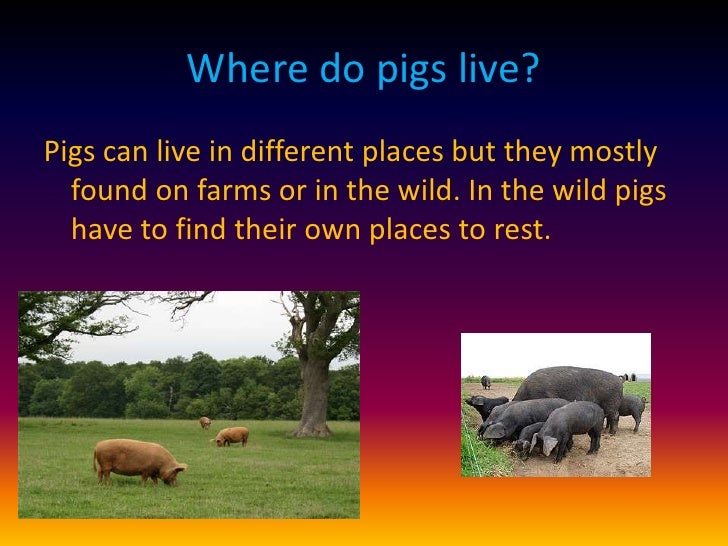Places To Live Where They Grow Their Own Food Places To Live Where They Grow Their Own Food