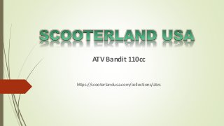 ATV Bandit 110cc
https://scooterlandusa.com/collections/atvs
 