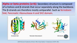 The source of protein structures in SCOP & CATH is PDB (Protein Data Bank) or UniProt ID.
What is the source of protein st...