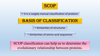 Two Most Prominent Protein Structure
Classification Schemes Are SCOP And CATH
(Malik et al., 2020)
 