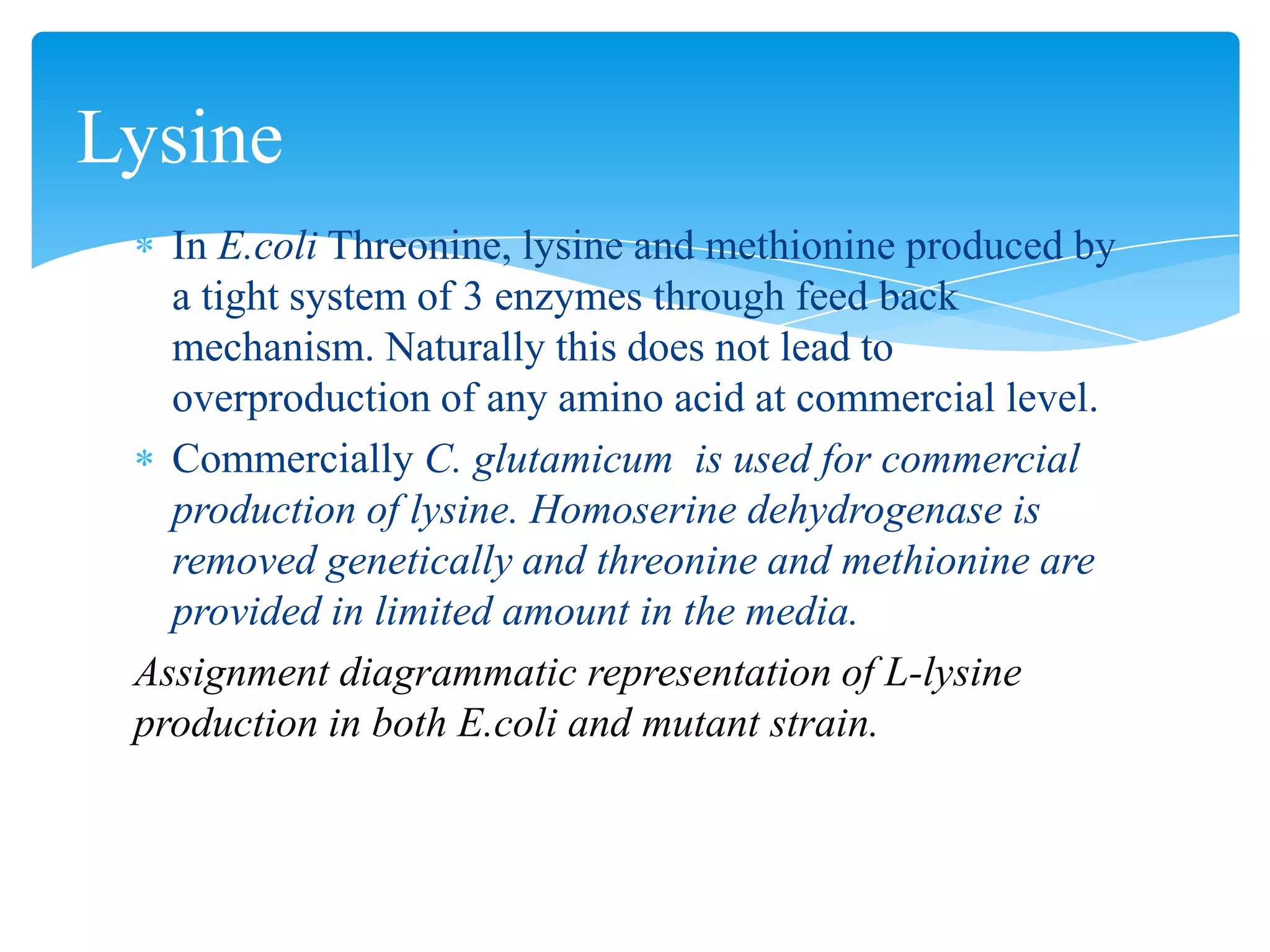In E.coli Threonine, lysine and methionine produced by
a tight system of 3 enzymes through feed back
mechanism. Naturally this does not lead to
overproduction of any amino acid at commercial level.
Commercially C. glutamicum is used for commercial
production of lysine. Homoserine dehydrogenase is
removed genetically and threonine and methionine are
provided in limited amount in the media.
Assignment diagrammatic representation of L-lysine
production in both E.coli and mutant strain.
Lysine
 