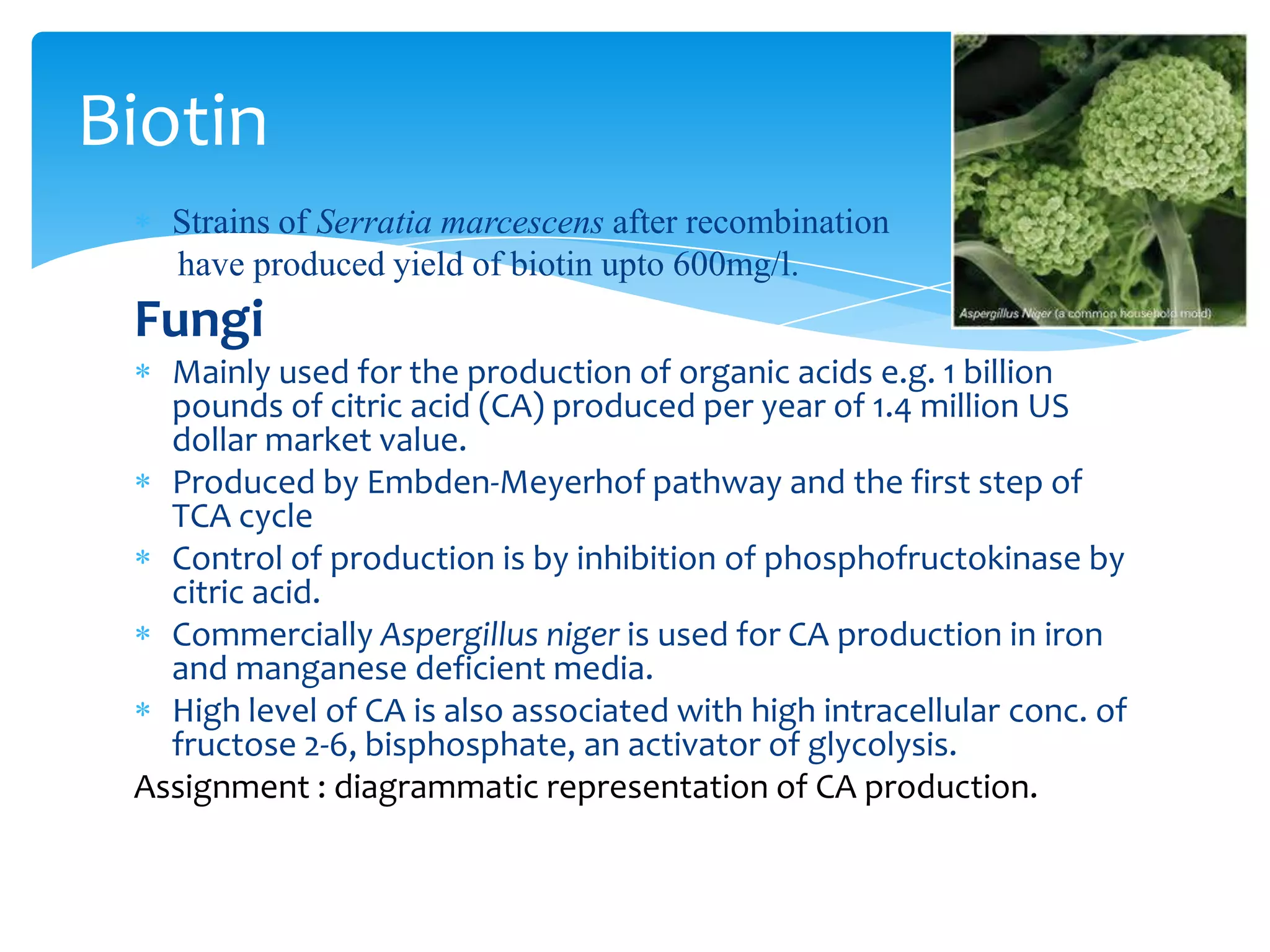 Strains of Serratia marcescens after recombination
have produced yield of biotin upto 600mg/l.
Fungi
Mainly used for the production of organic acids e.g. 1 billion
pounds of citric acid (CA) produced per year of 1.4 million US
dollar market value.
Produced by Embden-Meyerhof pathway and the first step of
TCA cycle
Control of production is by inhibition of phosphofructokinase by
citric acid.
Commercially Aspergillus niger is used for CA production in iron
and manganese deficient media.
High level of CA is also associated with high intracellular conc. of
fructose 2-6, bisphosphate, an activator of glycolysis.
Assignment : diagrammatic representation of CA production.
Biotin
 