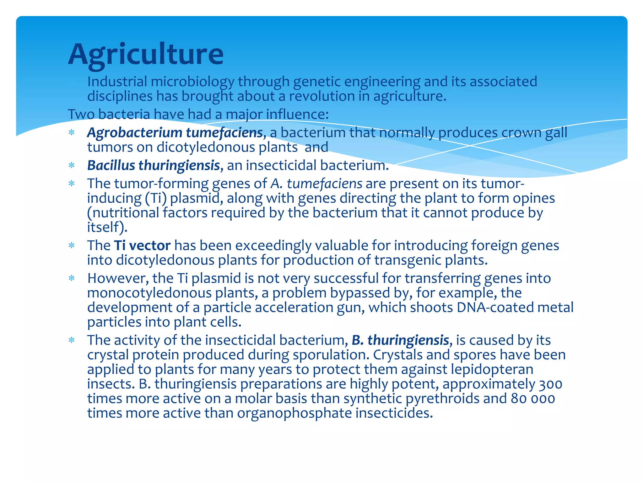 Agriculture
Industrial microbiology through genetic engineering and its associated
disciplines has brought about a revolution in agriculture.
Two bacteria have had a major influence:
Agrobacterium tumefaciens, a bacterium that normally produces crown gall
tumors on dicotyledonous plants and
Bacillus thuringiensis, an insecticidal bacterium.
The tumor-forming genes of A. tumefaciens are present on its tumor-
inducing (Ti) plasmid, along with genes directing the plant to form opines
(nutritional factors required by the bacterium that it cannot produce by
itself).
The Ti vector has been exceedingly valuable for introducing foreign genes
into dicotyledonous plants for production of transgenic plants.
However, the Ti plasmid is not very successful for transferring genes into
monocotyledonous plants, a problem bypassed by, for example, the
development of a particle acceleration gun, which shoots DNA-coated metal
particles into plant cells.
The activity of the insecticidal bacterium, B. thuringiensis, is caused by its
crystal protein produced during sporulation. Crystals and spores have been
applied to plants for many years to protect them against lepidopteran
insects. B. thuringiensis preparations are highly potent, approximately 300
times more active on a molar basis than synthetic pyrethroids and 80 000
times more active than organophosphate insecticides.
 