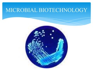 MICROBIAL BIOTECHNOLOGY
 