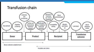 Transfusion Chain Scope.pptx
