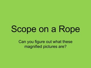 Scope on a Rope Can you figure out what these magnified pictures are? 