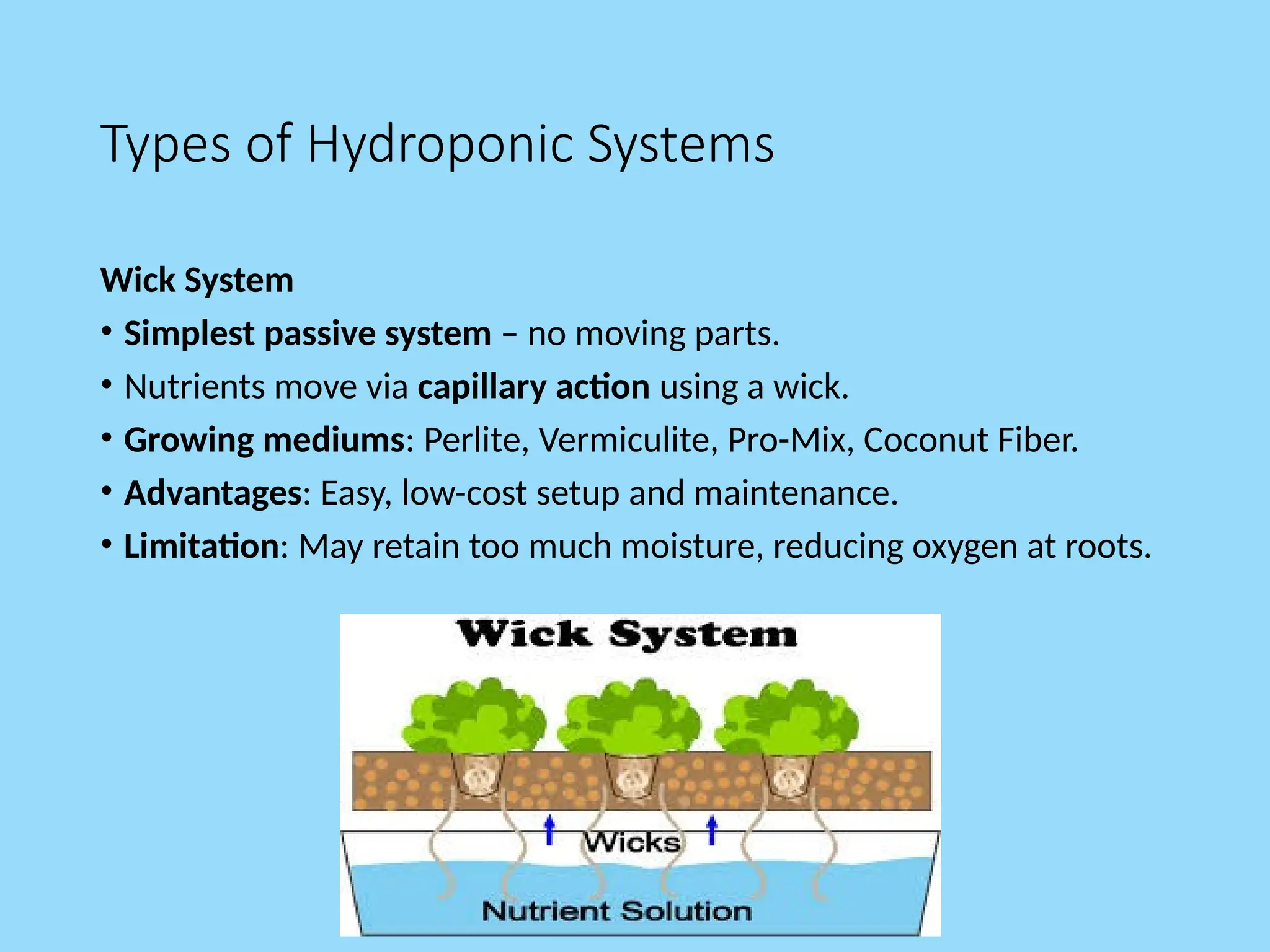 Types of Hydroponic Systems
Wick System
• Simplest passive system – no moving parts.
• Nutrients move via capillary action using a wick.
• Growing mediums: Perlite, Vermiculite, Pro-Mix, Coconut Fiber.
• Advantages: Easy, low-cost setup and maintenance.
• Limitation: May retain too much moisture, reducing oxygen at roots.
 